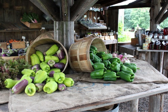 New Produce On Sale: Bell and Sweet Peppers at Land’s Sake Farm in Weston, Mass. Photo Courtesy Shelagh Dolan.